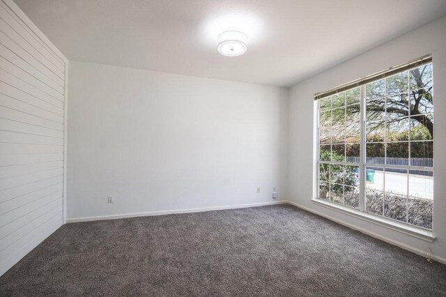 18816 Sandy Shore Dr, Pflugerville, TX 78660 - carpeted empty room featuring baseboards