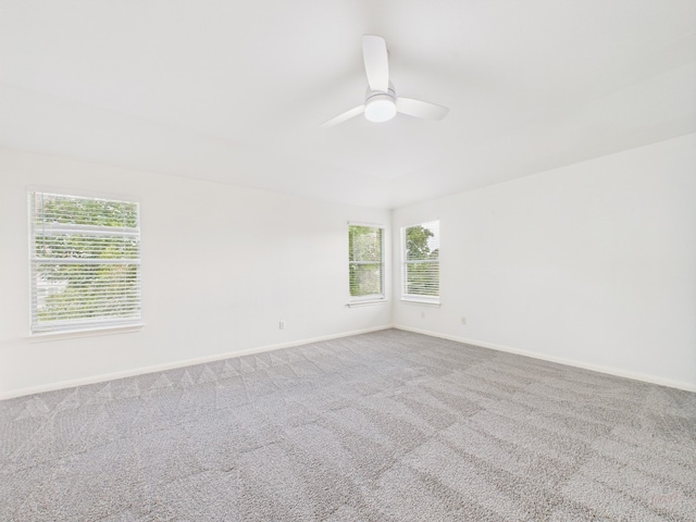 18816 Sandy Shore Dr, Pflugerville, TX 78660 - photo 28