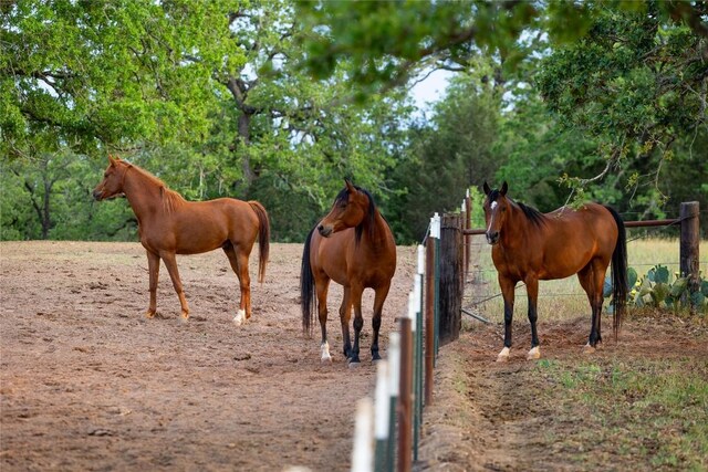 991 Fm 20, Cedar Creek, TX 78612 - view of horse barn