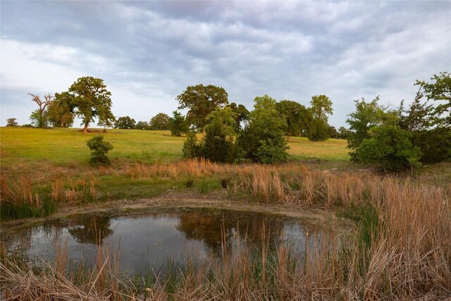 view of water feature