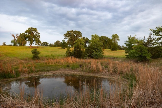 991 Fm 20, Cedar Creek, TX 78612 - water view