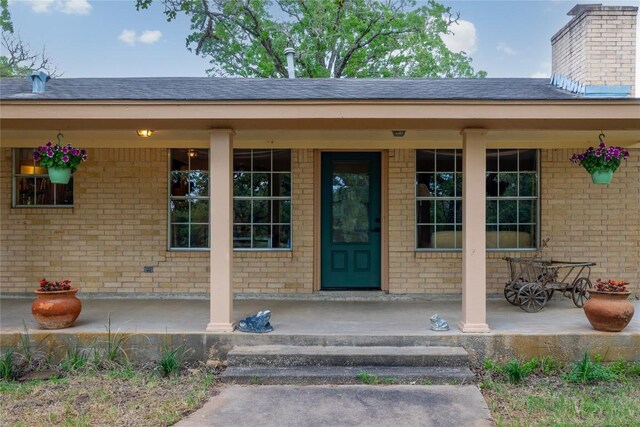 doorway to property with roof with shingles, a porch, and brick siding