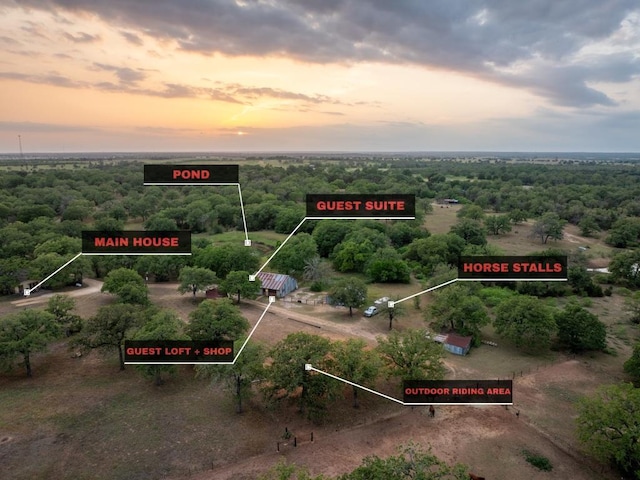 991 Fm 20, Cedar Creek, TX 78612 - drone / aerial view of a forest