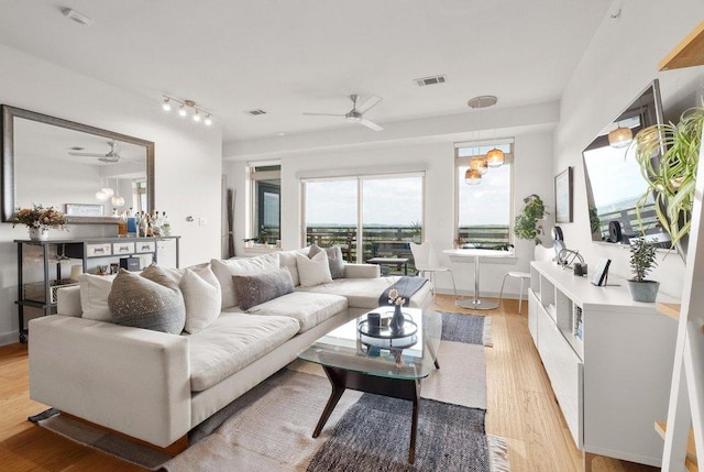 living room featuring a ceiling fan, light wood finished floors, and visible vents