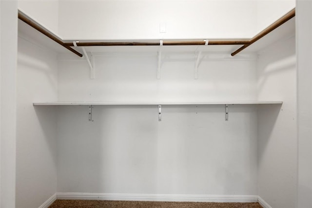349 Eagle Brook Ln, Buda, TX 78610 - spacious closet with carpet