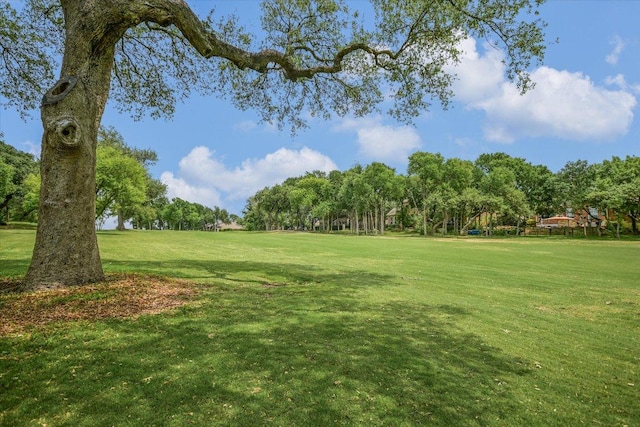 surrounding community with a yard