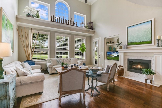 living area with wood-type flooring, a healthy amount of sunlight, and a fireplace