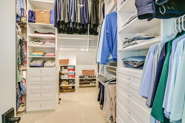 spacious closet featuring carpet