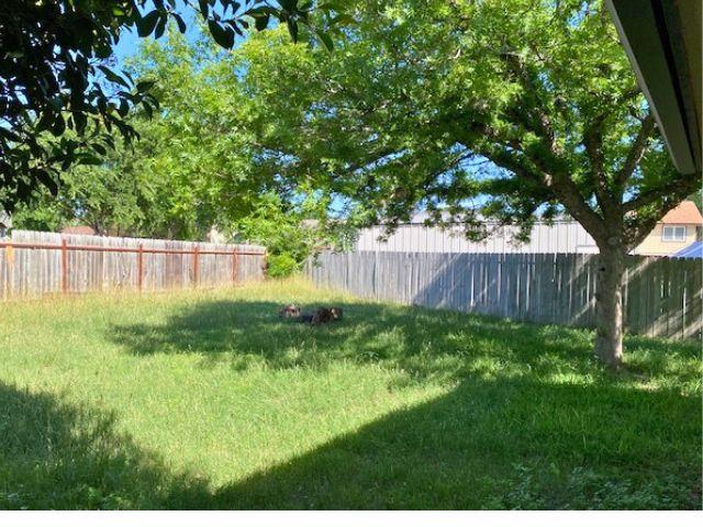 4307 Glenover, San Antonio, TX 78217 - view of yard