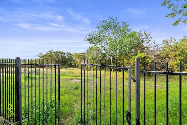 7921 W Rim Dr, Austin, TX 78731 - view of yard