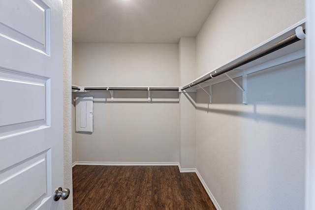5816 Monmarte Cv, Austin, TX 78744 - spacious closet featuring wood finished floors and electric panel