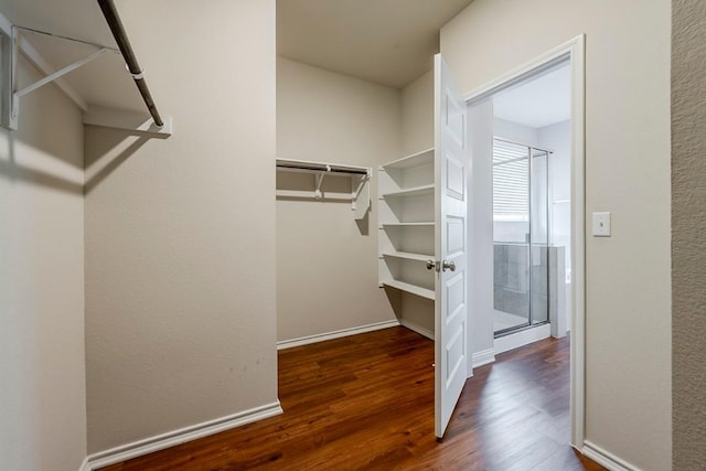 8009 Turnberry Ln, Austin, TX 78744 - photo 17