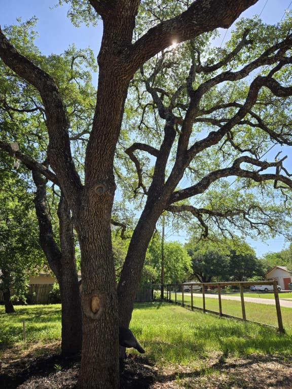 18215 Center St, Jonestown, TX 78645 - view of yard with fence