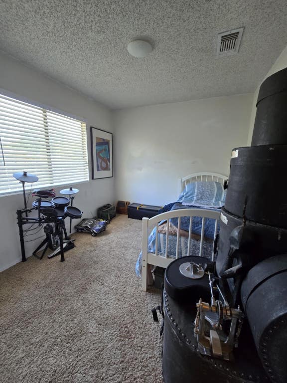 18215 Center St, Jonestown, TX 78645 - bedroom with carpet floors, a textured ceiling, and visible vents