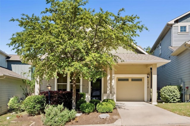 view of property hidden behind natural elements featuring a garage, board and batten siding, and concrete driveway