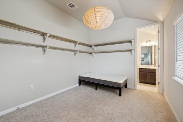 16720 Horondelle Dr, Austin, TX 78738 - spacious closet with lofted ceiling and light colored carpet