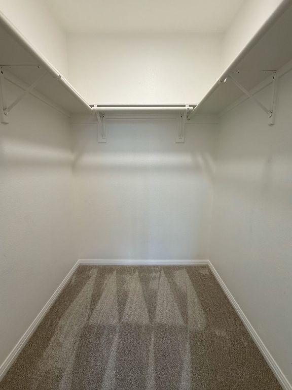 walk in closet with carpet
