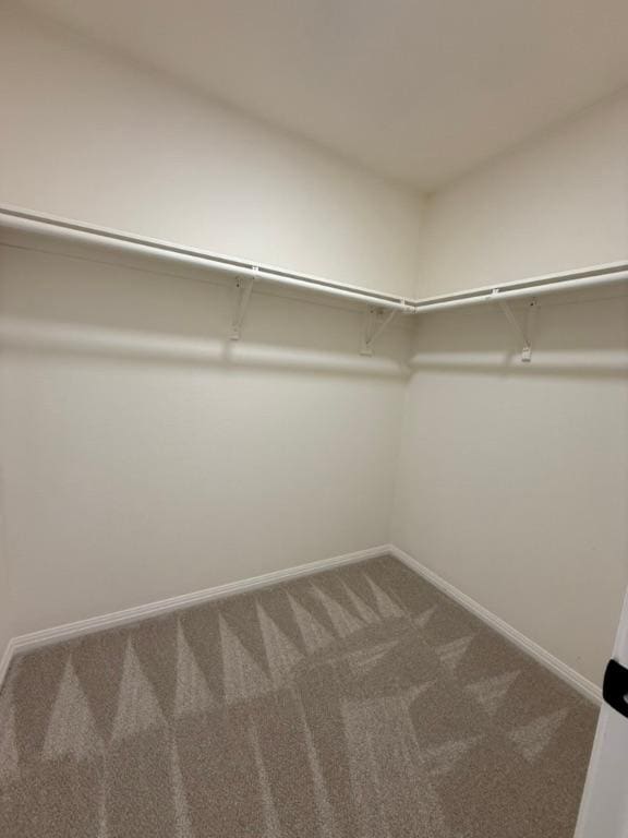 walk in closet with carpet
