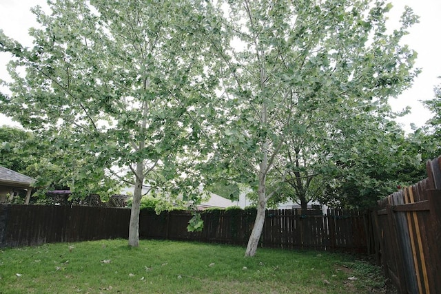 5711 Steven Creek Way, Austin, TX 78721 - view of yard with a fenced backyard