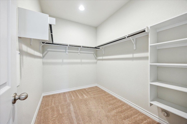 walk in closet with carpet