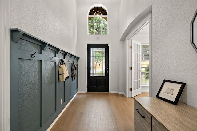 2104 Faldo Ln, Round Rock, TX 78664 - entrance foyer with wood finished floors, a textured wall, healthy amount of natural light, and baseboards