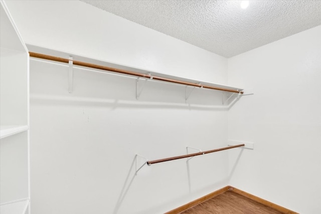 spacious closet featuring wood finished floors