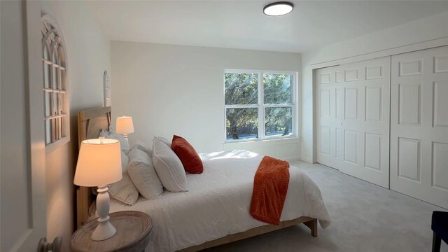 11224 Pickard Ln, Austin, TX 78748 - bedroom featuring carpet floors and a closet