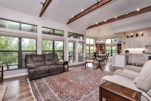 300 San Gabriel Village Blvd Unit 523, Georgetown, TX 78626 - living area featuring beamed ceiling, high vaulted ceiling, a chandelier, dark wood-style flooring, and track lighting