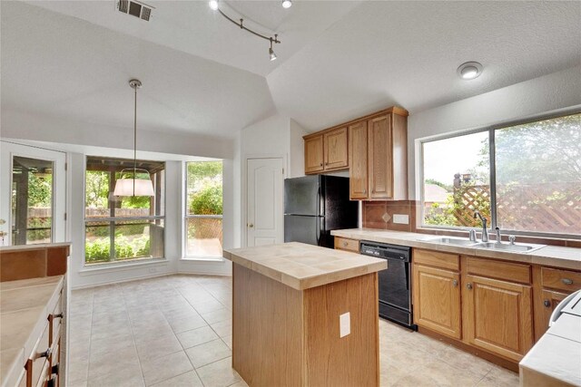 1202 Stepp Bnd, Cedar Park, TX 78613 - kitchen featuring black appliances, a sink, lofted ceiling, plenty of natural light, and tile counters