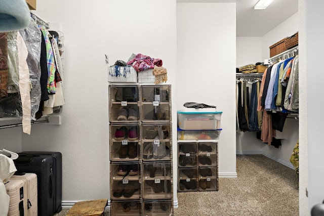 spacious closet featuring carpet