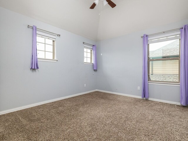 104 Orvieto Ln, Liberty Hill, TX 78642 - photo 29