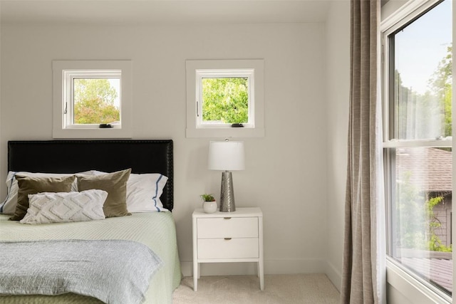 bedroom with carpet