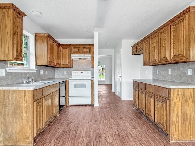 1614 Prickly Pear St, Lockhart, TX 78644 - kitchen featuring white electric range oven, under cabinet range hood, brown cabinetry, light wood finished floors, and light countertops
