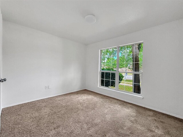 1614 Prickly Pear St, Lockhart, TX 78644 - empty room with carpet floors