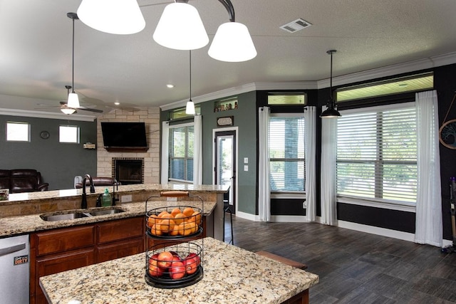 1066 Vista Dr, Salado, TX 76571 - kitchen featuring a sink, stainless steel dishwasher, crown molding, a fireplace, and brown cabinets