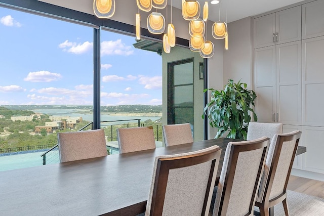 dining area featuring wood finished floors