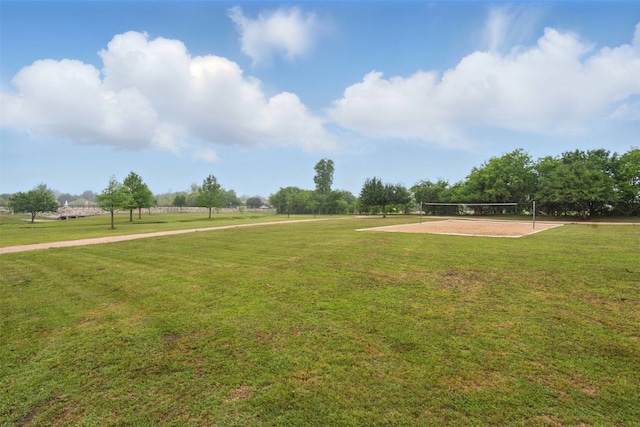 2917 Windy Vane Dr, Pflugerville, TX 78660 - view of grassy yard featuring volleyball court