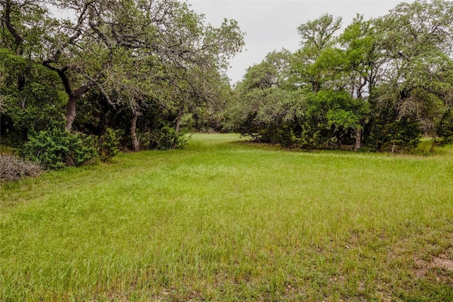 1751 County Road 255, Georgetown, TX 78633 - photo 21