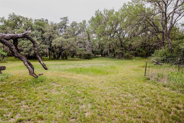 1751 County Road 255, Georgetown, TX 78633 - photo 27