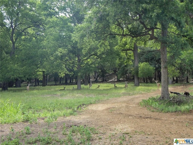 2253 Bella Vis, Canyon Lake, TX 78133