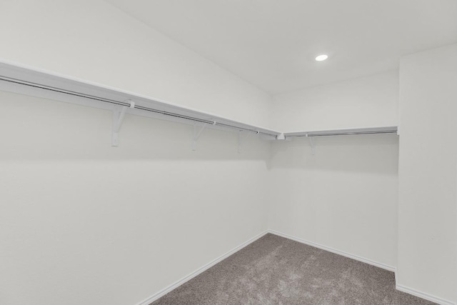 200 Lucky Texan Rd, Jarrell, TX 76537 - walk in closet with carpet floors