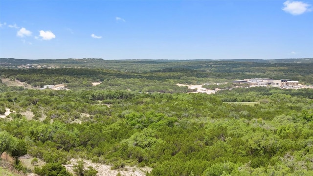 birds eye view of property featuring a forest view