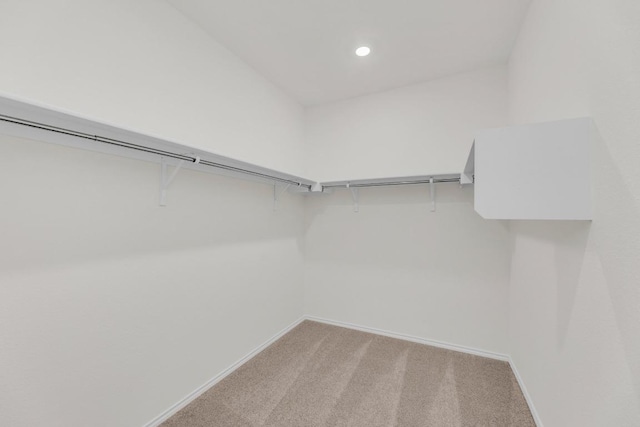 201 Lucky Texan Rd, Jarrell, TX 76537 - walk in closet with light colored carpet