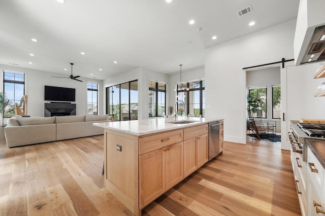 kitchen with a sink, light brown cabinets, light wood-style floors, and appliances with stainless steel finishes