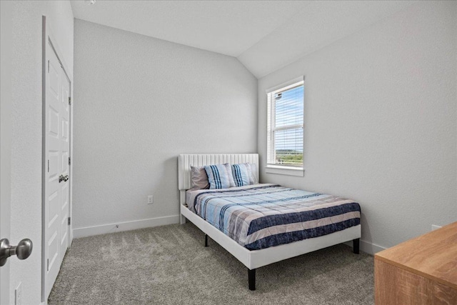 476 Wild Pecan Loop, Buda, TX 78610 - carpeted bedroom featuring lofted ceiling and baseboards