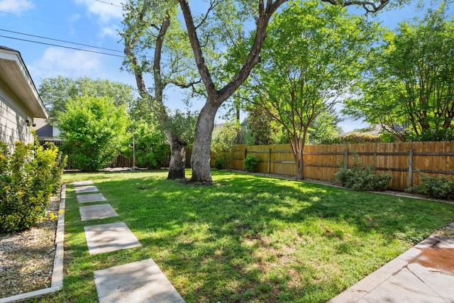 9417 Hopeland Dr, Austin, TX 78749 - view of yard