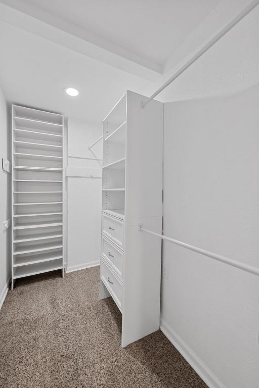 walk in closet featuring carpet floors