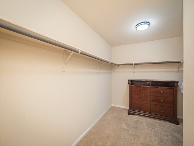 spacious closet with light carpet