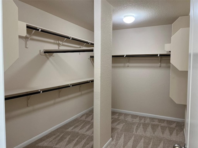 5817 Scenic Lake Dr, Georgetown, TX 78626 - walk in closet featuring carpet flooring