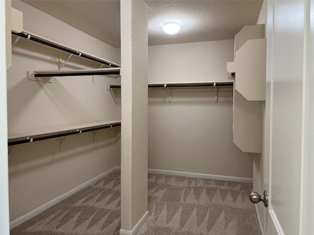 5817 Scenic Lake Dr, Georgetown, TX 78626 - spacious closet featuring carpet floors